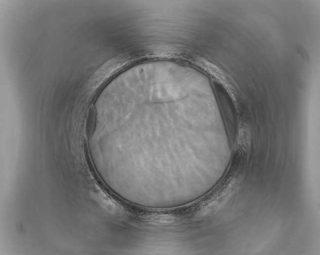 X0000111890577200908131657