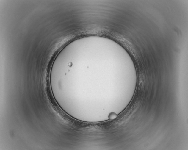 X0000111890578200908131657