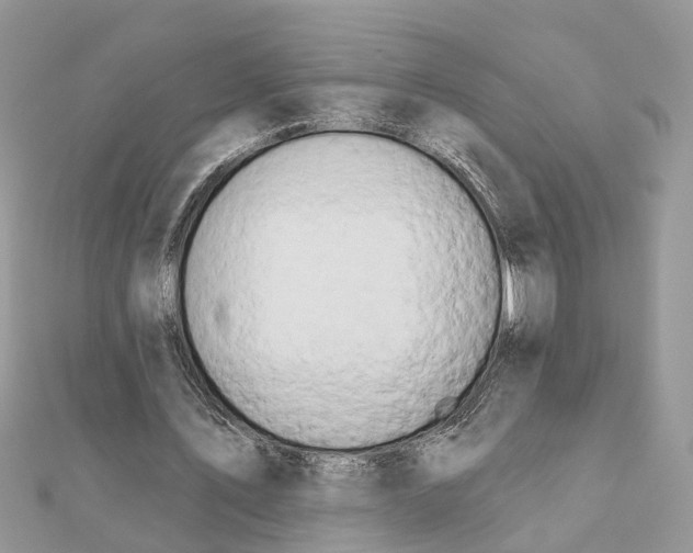 X0000111890579200908131657