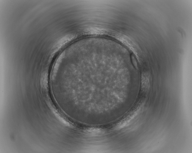 X0000111890581200908131657