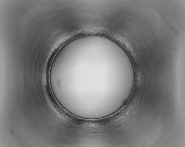 X0000111890582200908131656