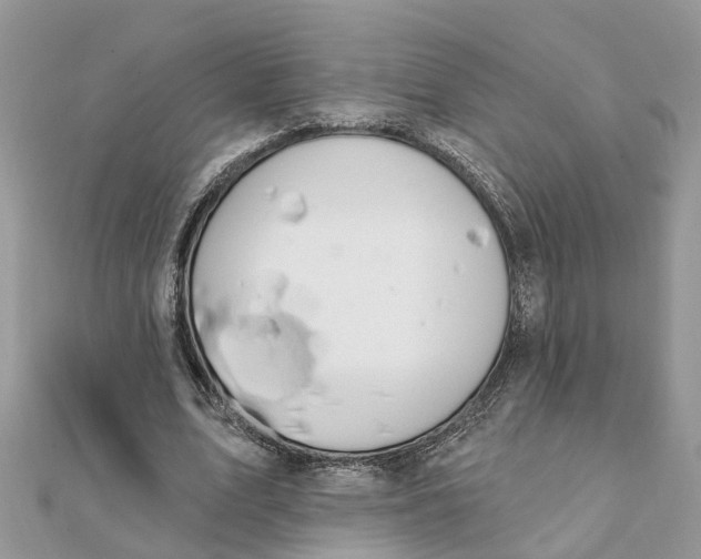 X0000111890583200908131656