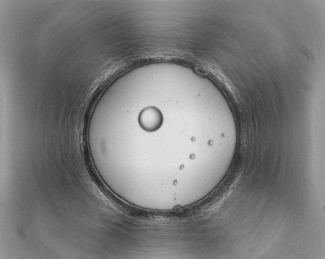 X0000111890585200908131656