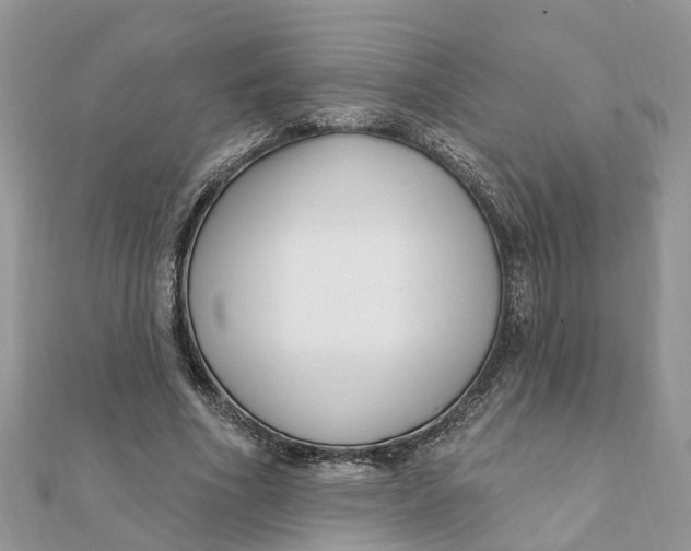 X0000111890586200908131656