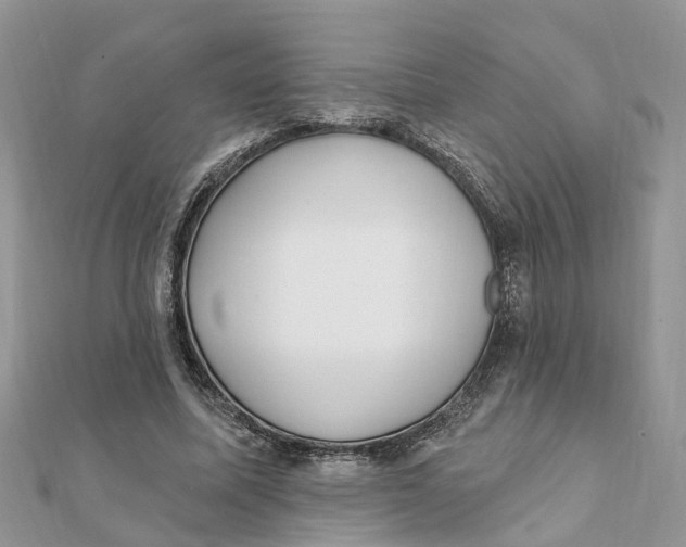 X0000111890587200908131656