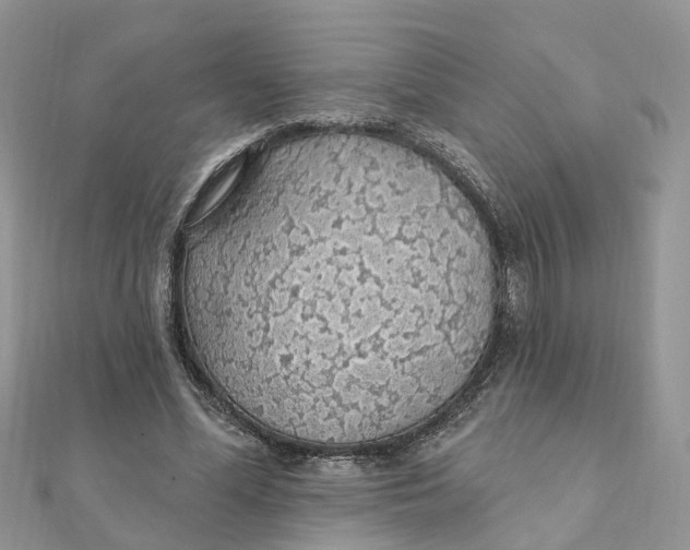 X0000111890588200908131656