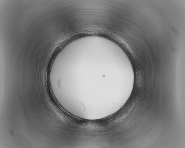 X0000111890589200908131656