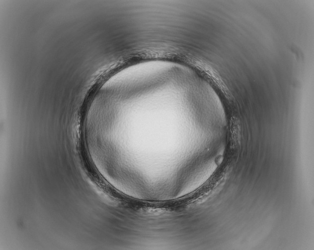 X0000111890590200908131656