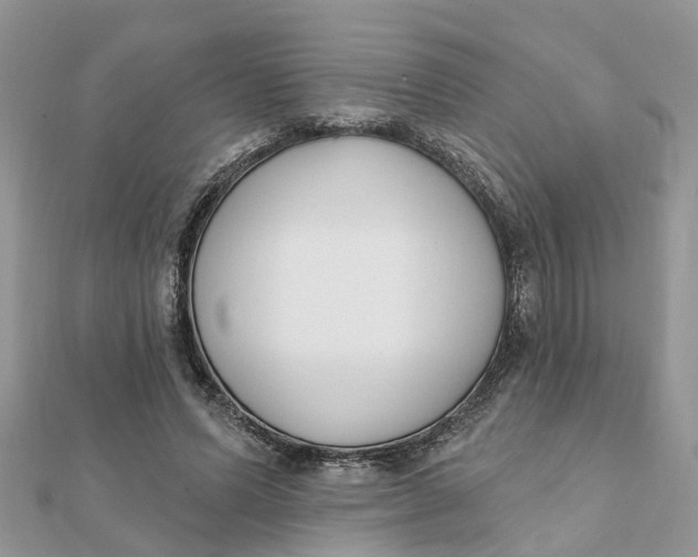 X0000111890591200908131656