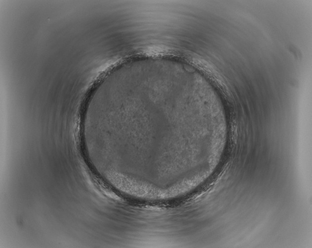 X0000111890592200908131656