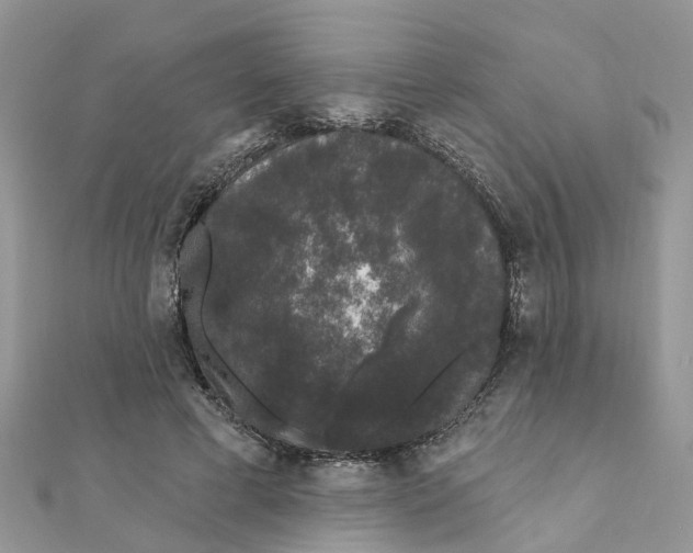 X0000111890593200908131656