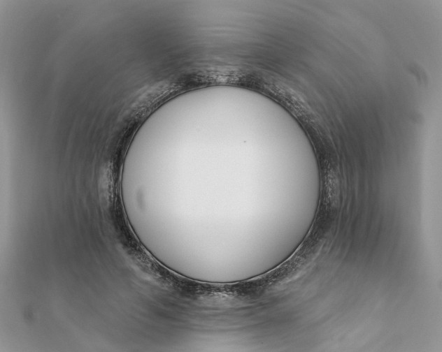 X0000111890594200908131656