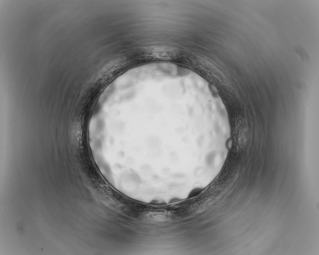 X0000111890595200908131656