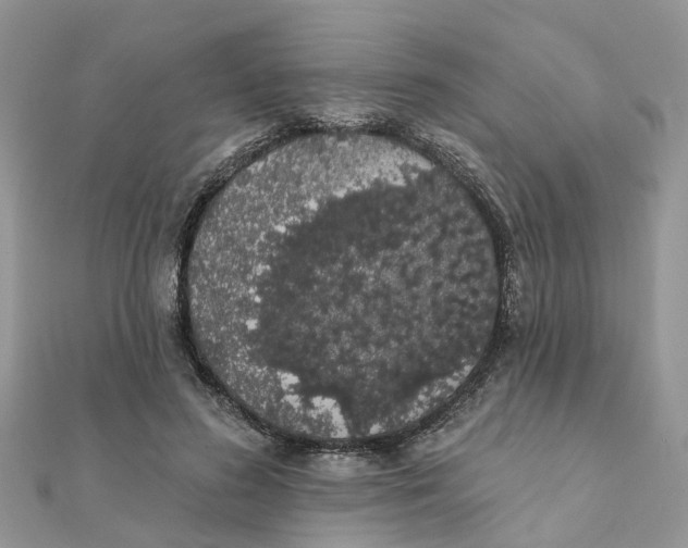 X0000111890596200908131656