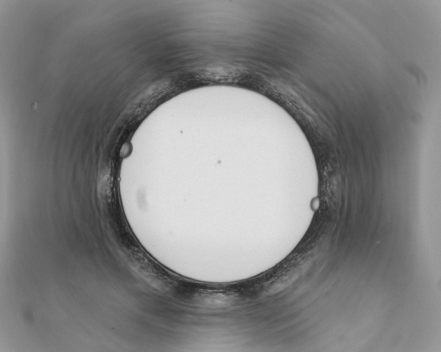 X0000111890597200908131656