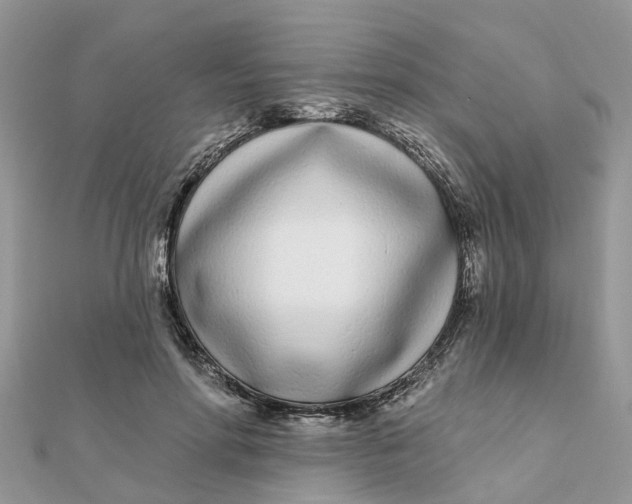 X0000111890598200908131656