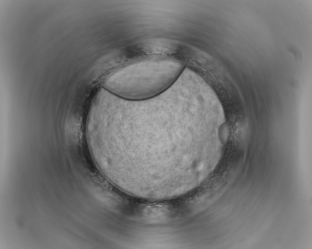 X0000111890599200908131656