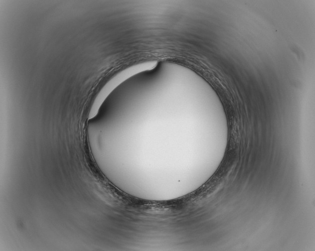 X0000111890601200908131656