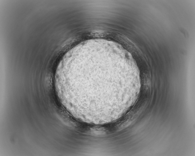 X0000111890603200908131656