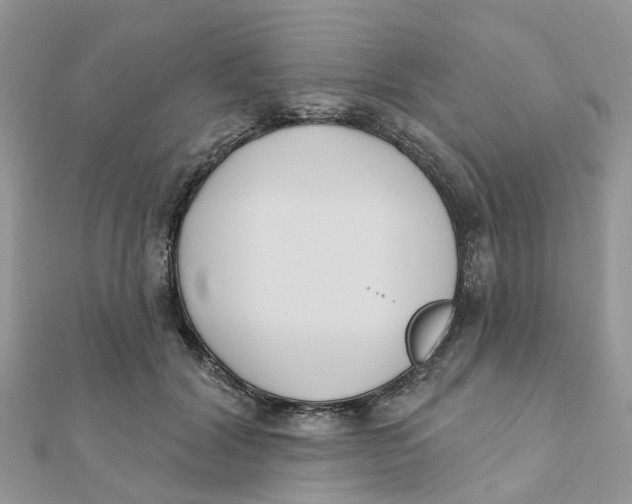 X0000111890604200908131656