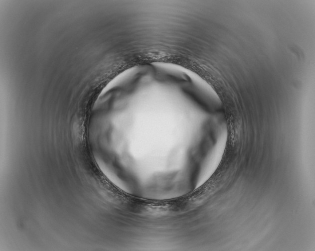 X0000111890606200908131656