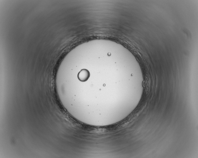 X0000111890609200908131656