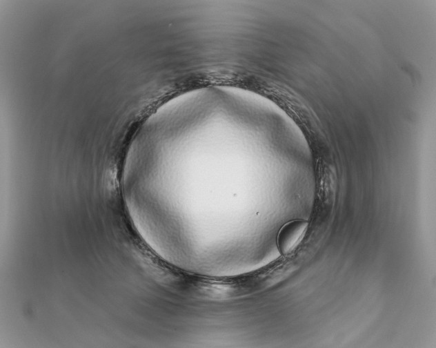 X0000111890610200908131656