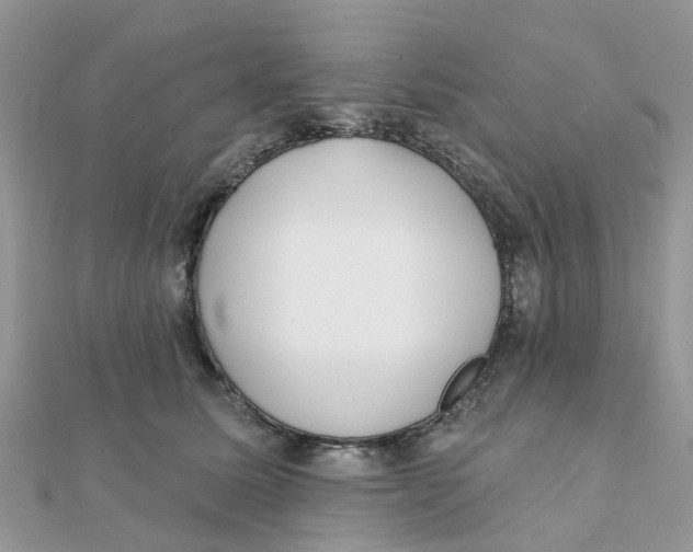 X0000111890611200908131656