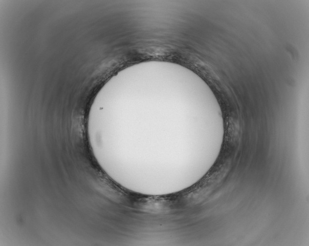 X0000111890612200908131656