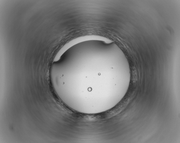 X0000111890613200908131656