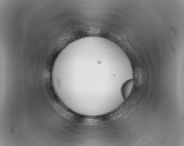 X0000111890614200908131656