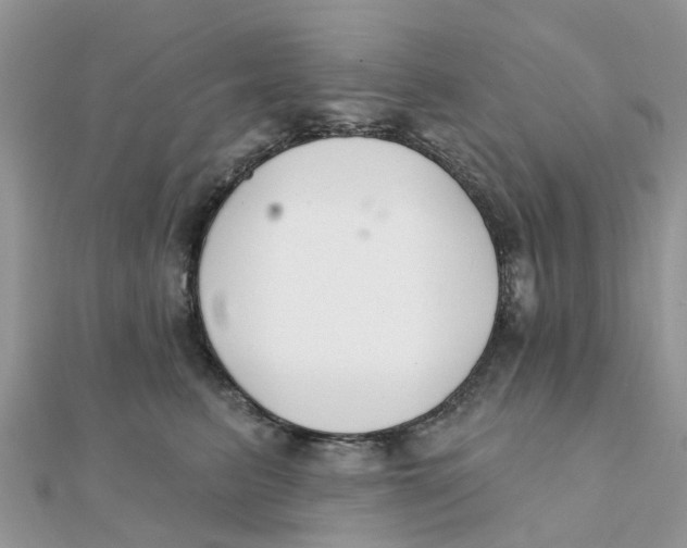 X0000111890615200908131656