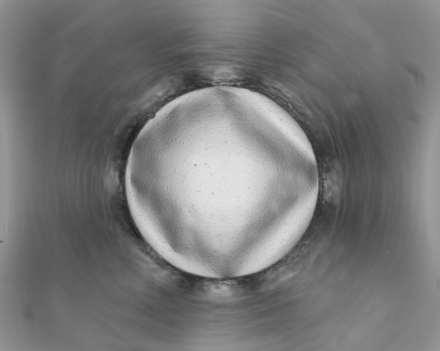 X0000111890618200908131656