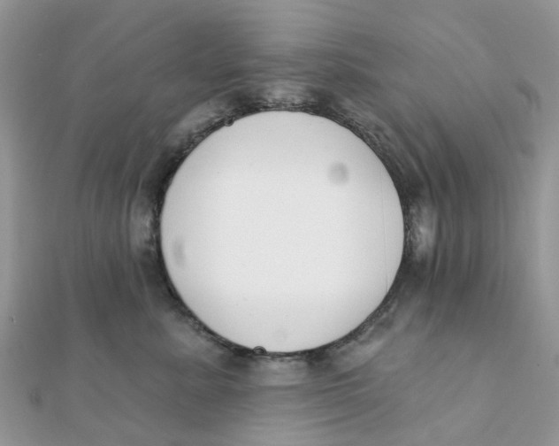 X0000111890619200908131656