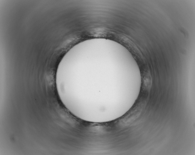 X0000111890620200908131656