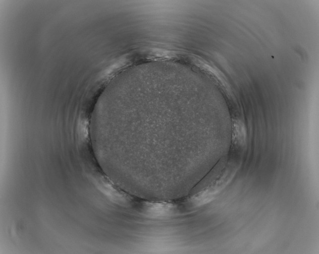 X0000111890621200908131656