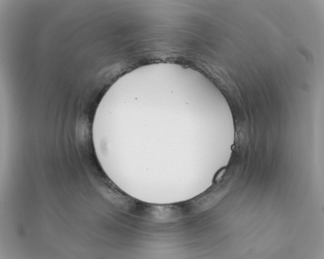 X0000111890623200908131656