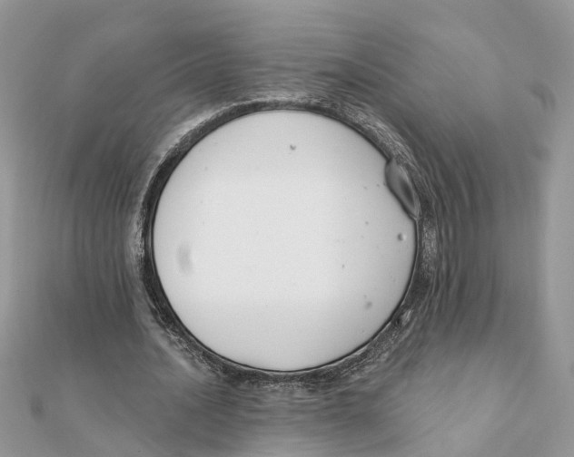 X0000111890628200908131655