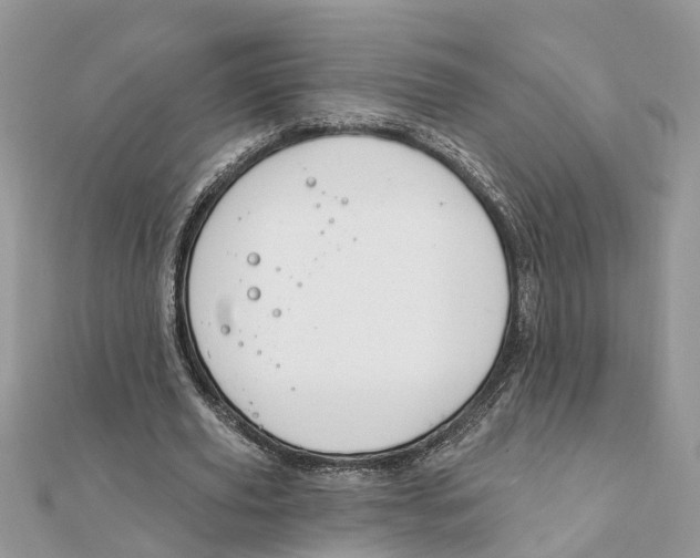 X0000111890629200908131655