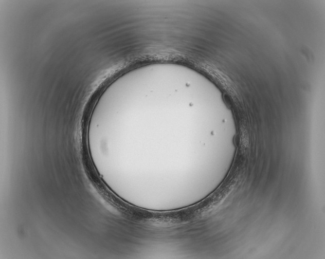 X0000111890630200908131655