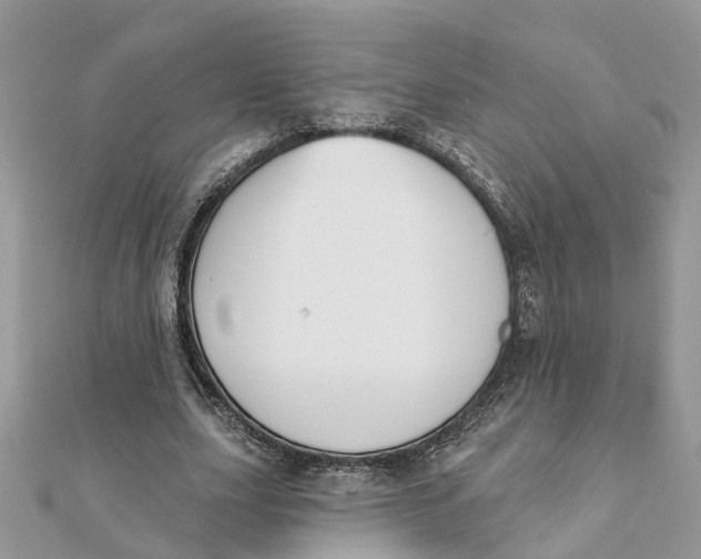 X0000111890631200908131655