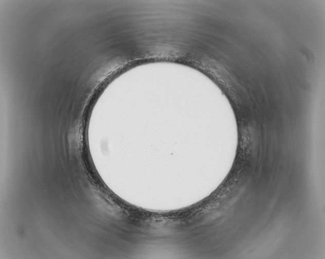 X0000111890632200908131655