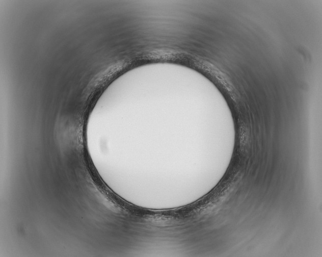 X0000111890633200908131655