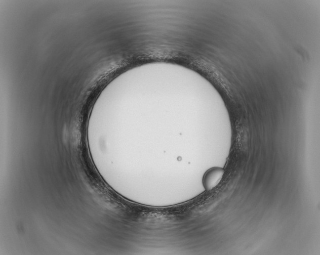 X0000111890635200908131655