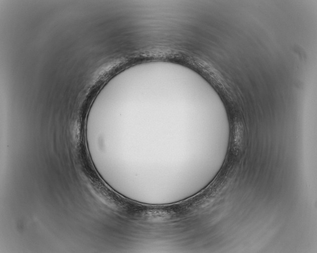 X0000111890636200908131655