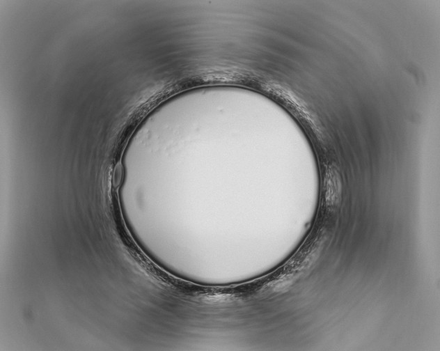 X0000111890637200908131655