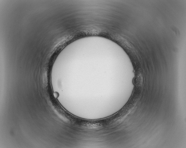 X0000111890638200908131655