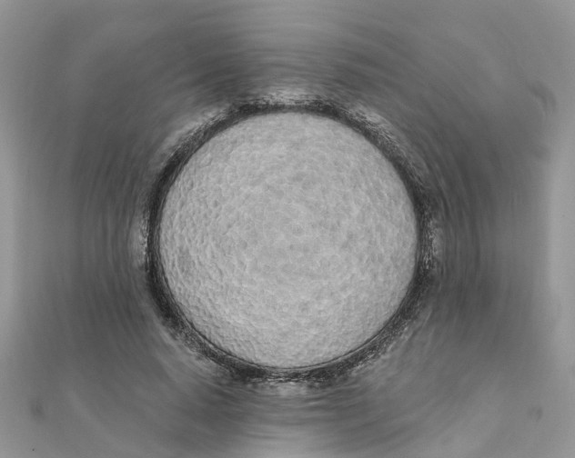 X0000111890640200908131655