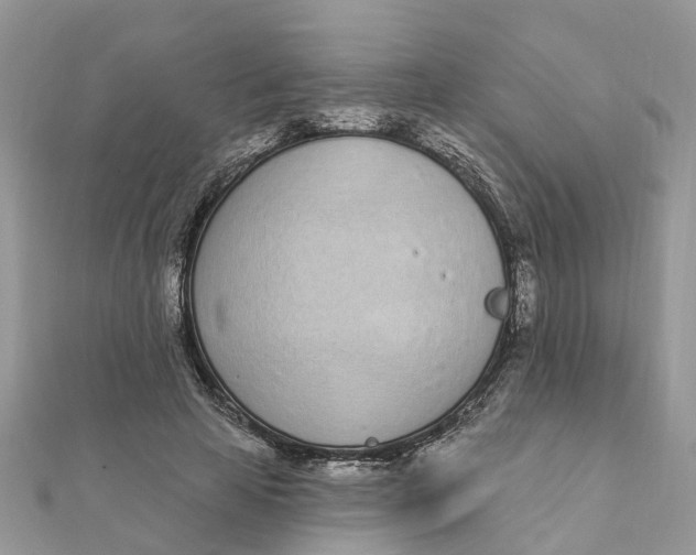 X0000111890641200908131655