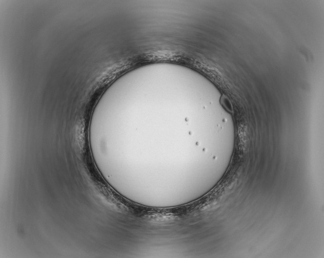 X0000111890642200908131655